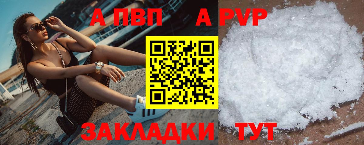 A-PVP СК Мурманск