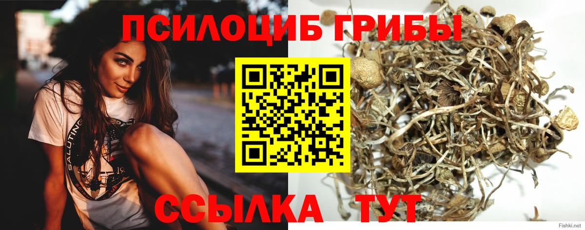 Мурманск  Галлюциногенные грибы ЛСД  Вход с VPN 